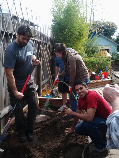 planting trees