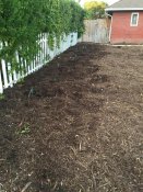 Greywater outlets next to the raspberries and blackberries