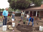 planting in clay soil