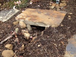 flagstone bridge allows stormwater into the basin