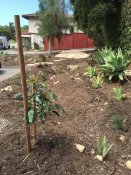 near the beginning of the creek bed